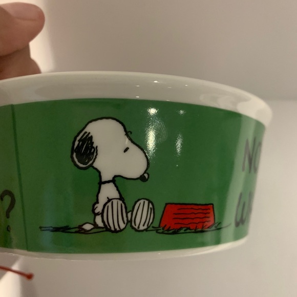 Peanuts Cat Peanuts Snoopy And Woodstock Dogs Bowl Poshmark Peanuts Cat Peanuts Snoopy And Woodstock Dogs Bowl Poshmark